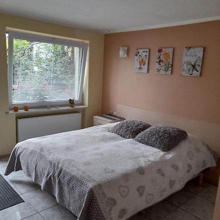 Apartament Jednosci Narodowej 코워브제크 외부 사진